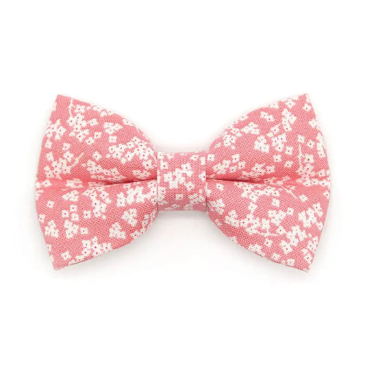 Cherry Blossom Bowtie