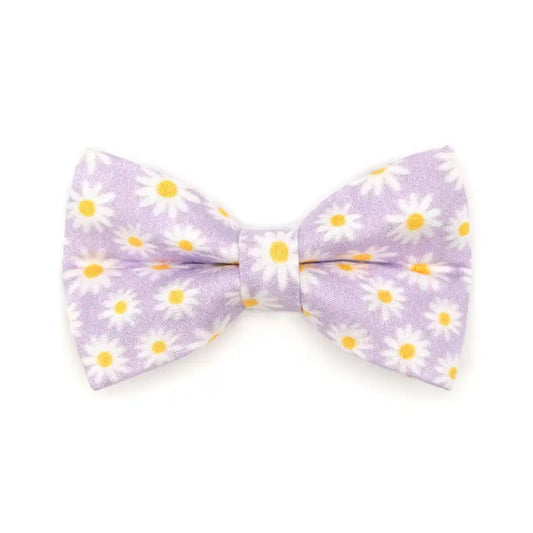 Purple Daisy Bowtie