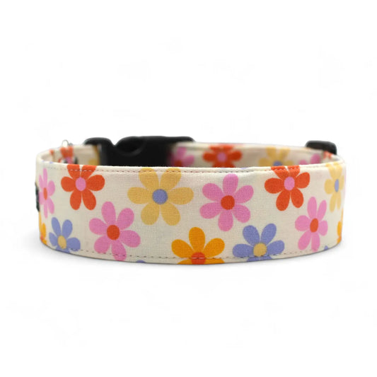 Mod Style Summer Dog Collar